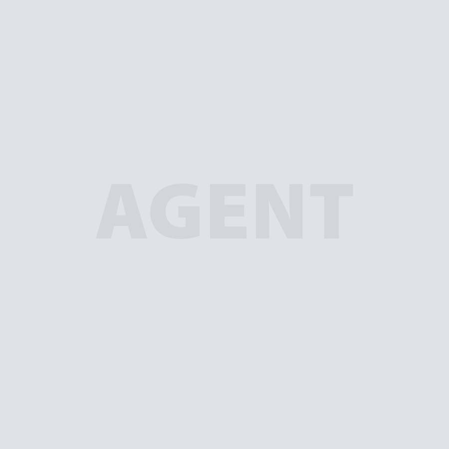 agent-pic.jpg